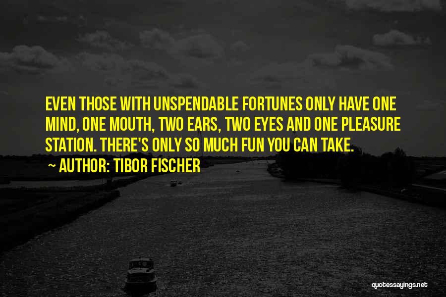 So Much You Can Take Quotes By Tibor Fischer