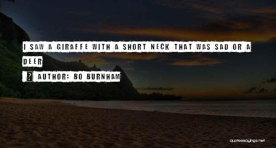 So Sad Short Quotes By Bo Burnham