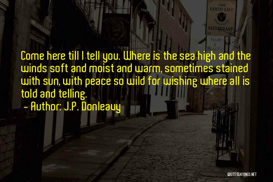 So Soft Quotes By J.P. Donleavy