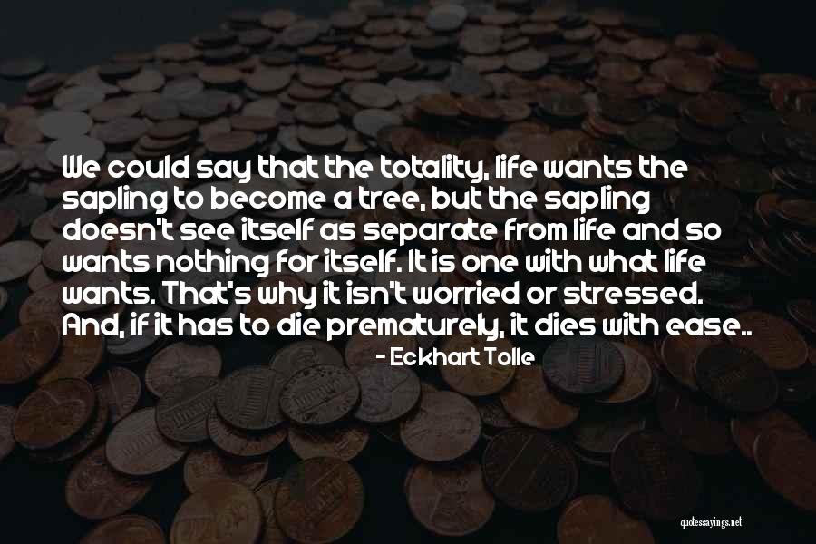 So Stressed Quotes By Eckhart Tolle So Stressed Quotes By Eckhart Tolle