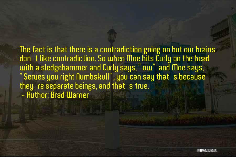 So They Say Quotes By Brad Warner