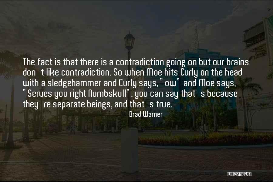 So True Quotes By Brad Warner So True Quotes By Brad Warner