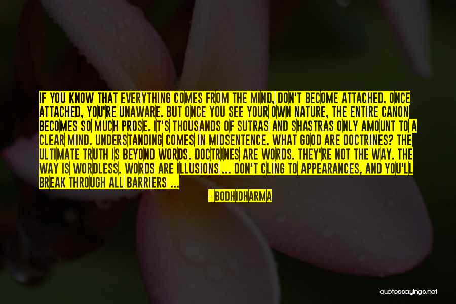 So Unaware Quotes By Bodhidharma So Unaware Quotes By Bodhidharma