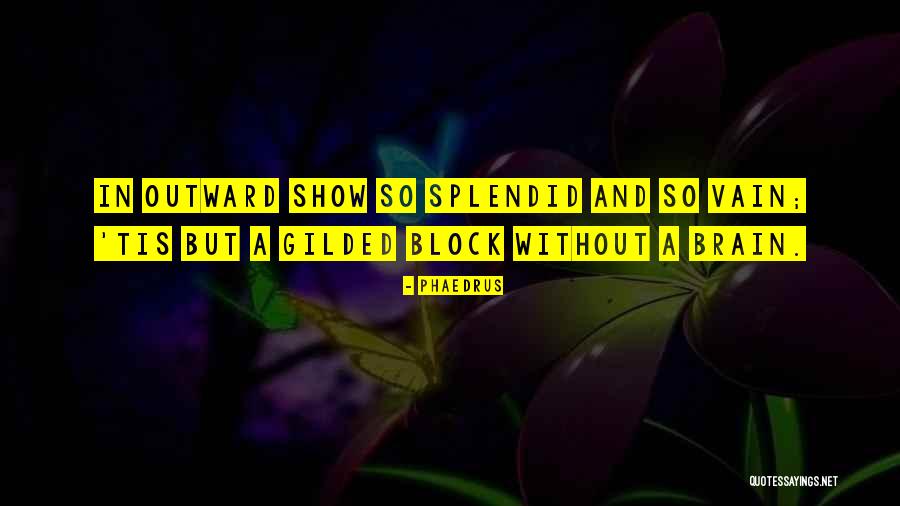 So Vain Quotes By Phaedrus So Vain Quotes By Phaedrus