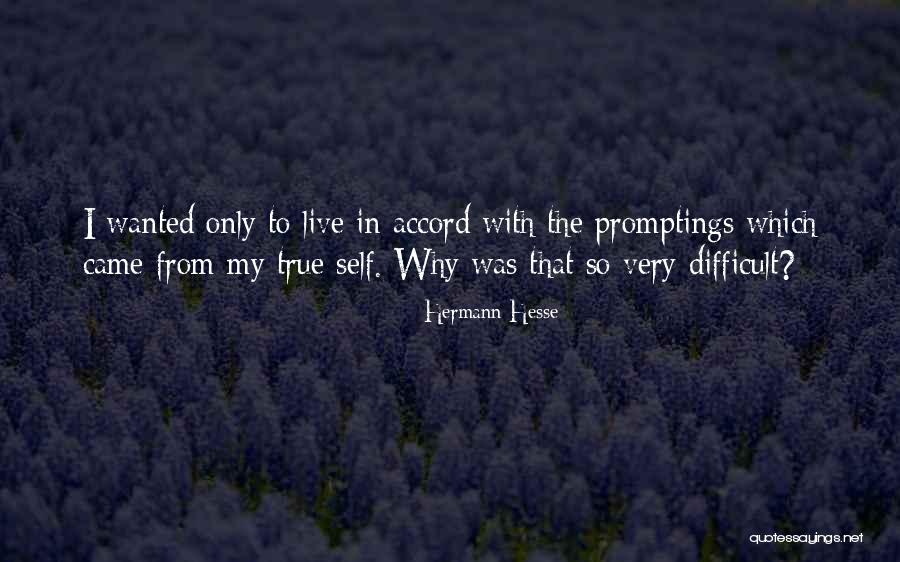 So Very True Quotes By Hermann Hesse