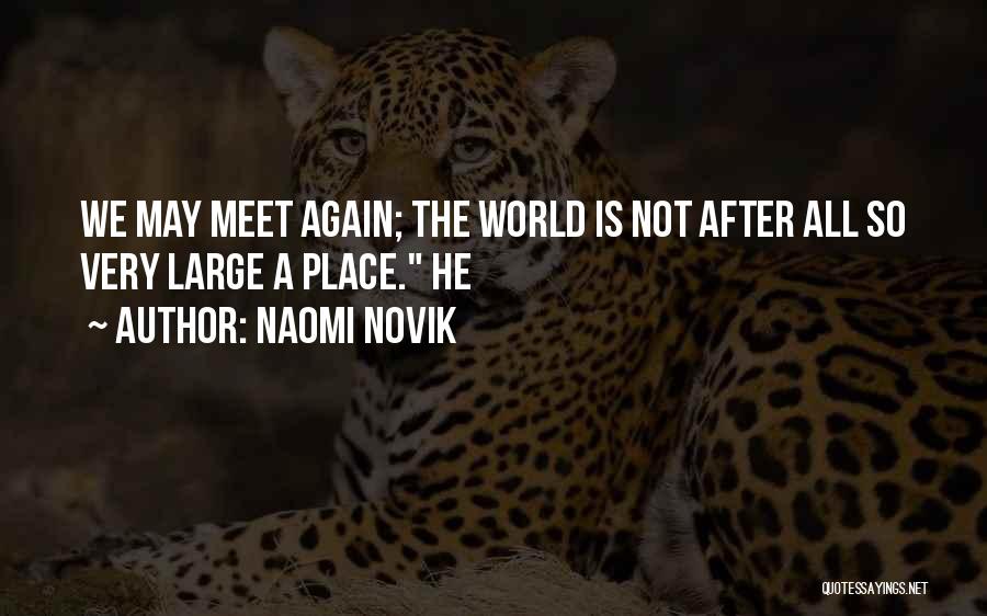 So We Meet Again Quotes By Naomi Novik