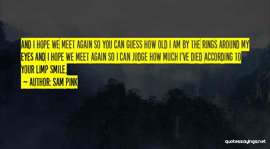 So We Meet Again Quotes By Sam Pink