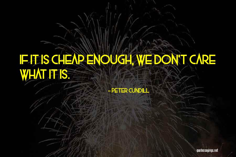 So You Dont Care Quotes By Peter Cundill