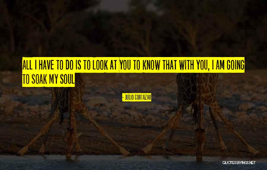 Soak Quotes By Julio Cortazar Soak Quotes By Julio Cortazar