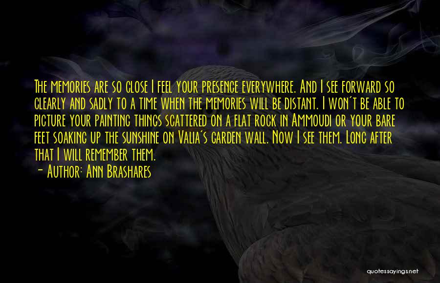 Soaking Quotes By Ann Brashares