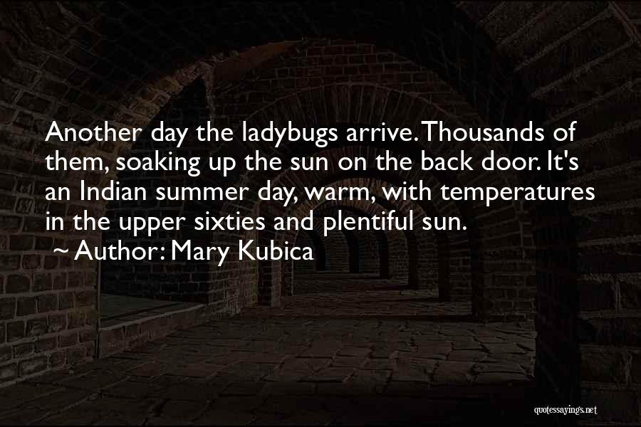 Soaking Up Sun Quotes By Mary Kubica