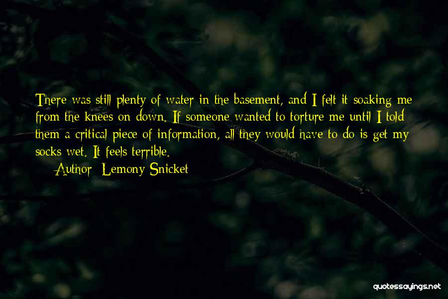 Soaking Wet Quotes By Lemony Snicket