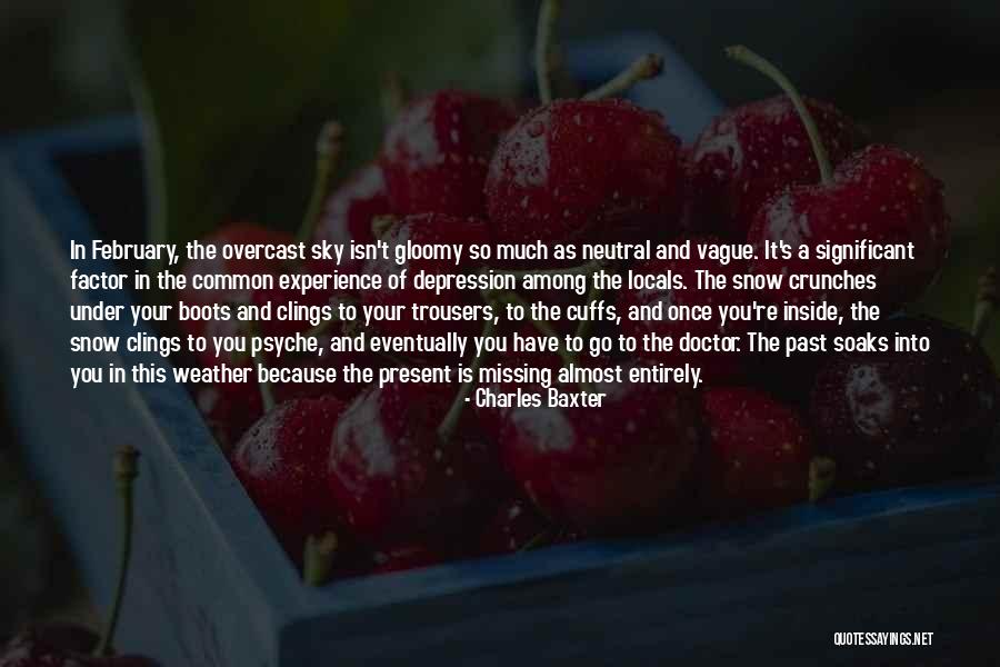 Soaks Quotes By Charles Baxter Soaks Quotes By Charles Baxter