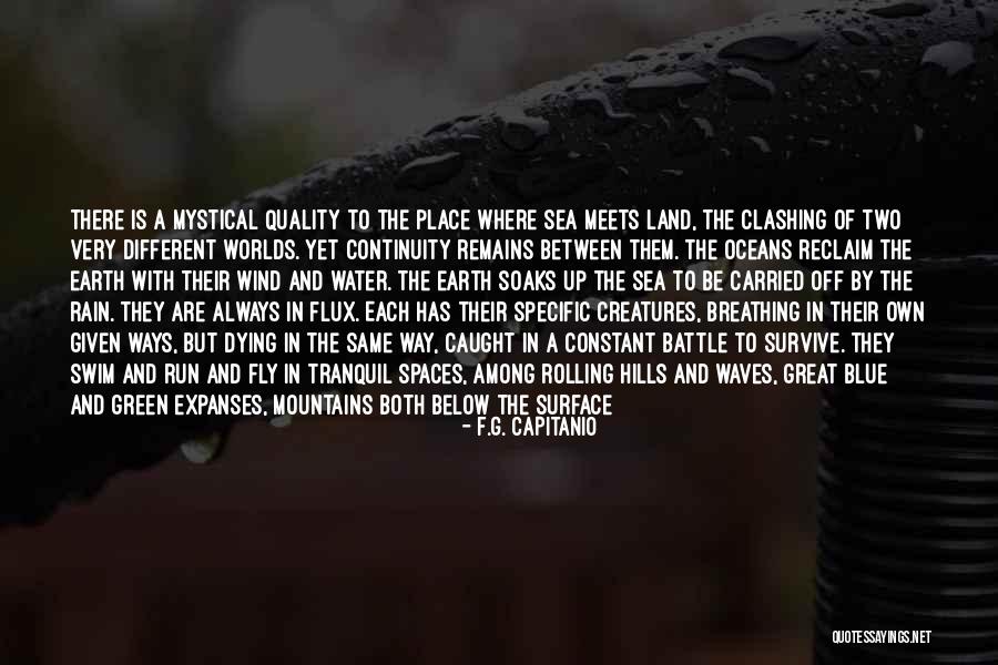 Soaks Quotes By F.G. Capitanio Soaks Quotes By F.G. Capitanio