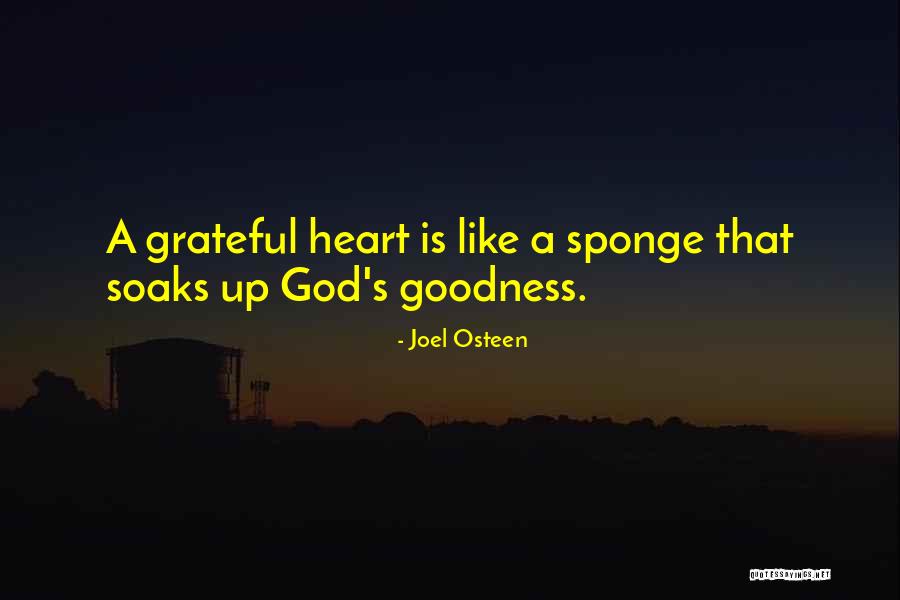 Soaks Quotes By Joel Osteen Soaks Quotes By Joel Osteen