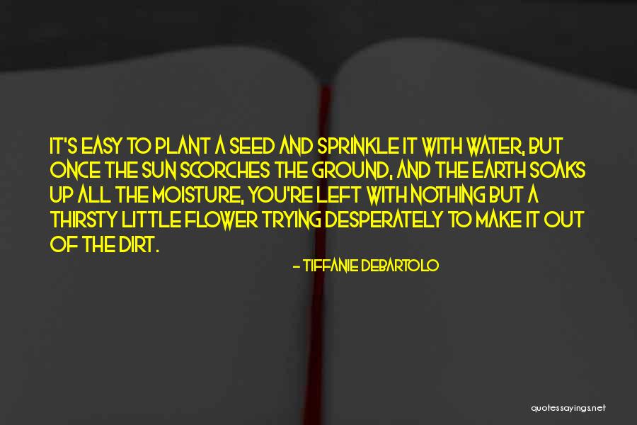 Soaks Quotes By Tiffanie DeBartolo Soaks Quotes By Tiffanie DeBartolo