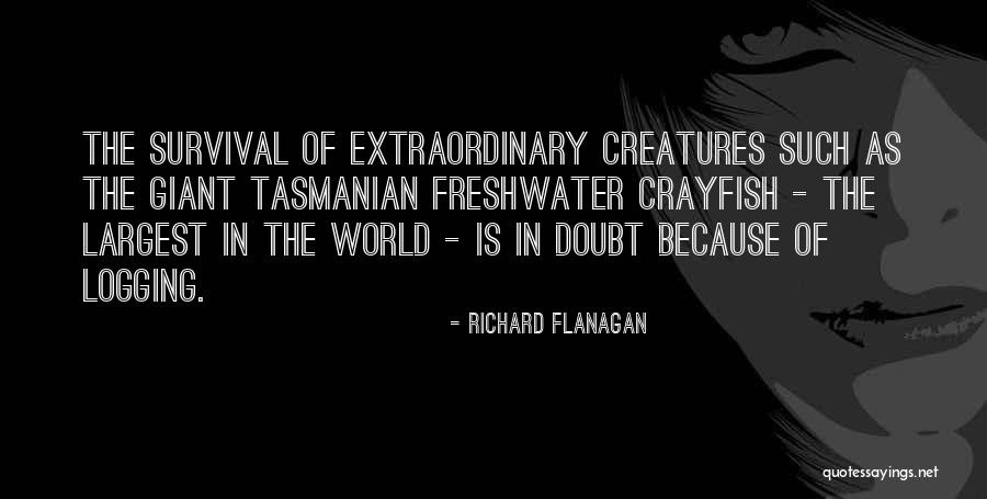 Soando Do Neymar Quotes By Richard Flanagan Soando Do Neymar Quotes By Richard Flanagan