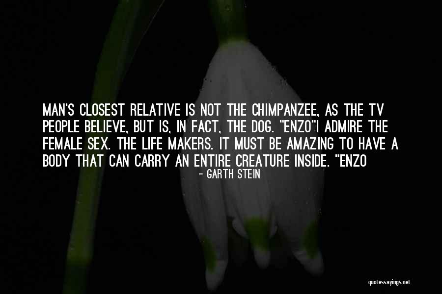 Soane Museum Quotes By Garth Stein Soane Museum Quotes By Garth Stein