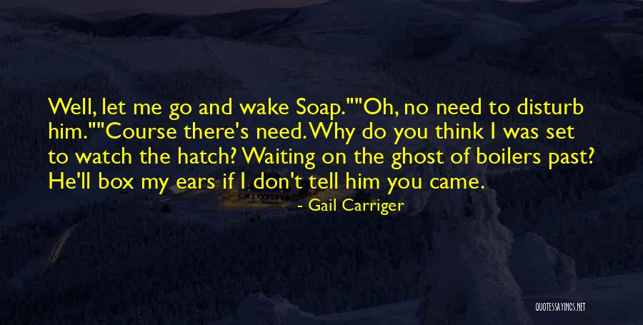 Soap Box Quotes By Gail Carriger Soap Box Quotes By Gail Carriger