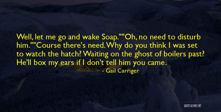 Soap Box Quotes By Gail Carriger