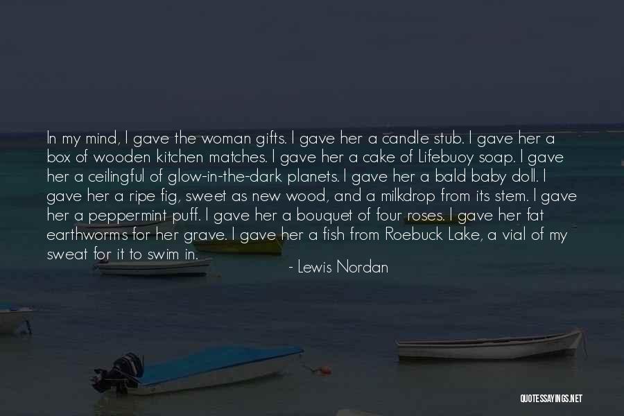 Soap Box Quotes By Lewis Nordan