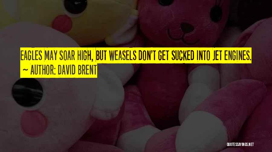 Soar High Quotes By David Brent