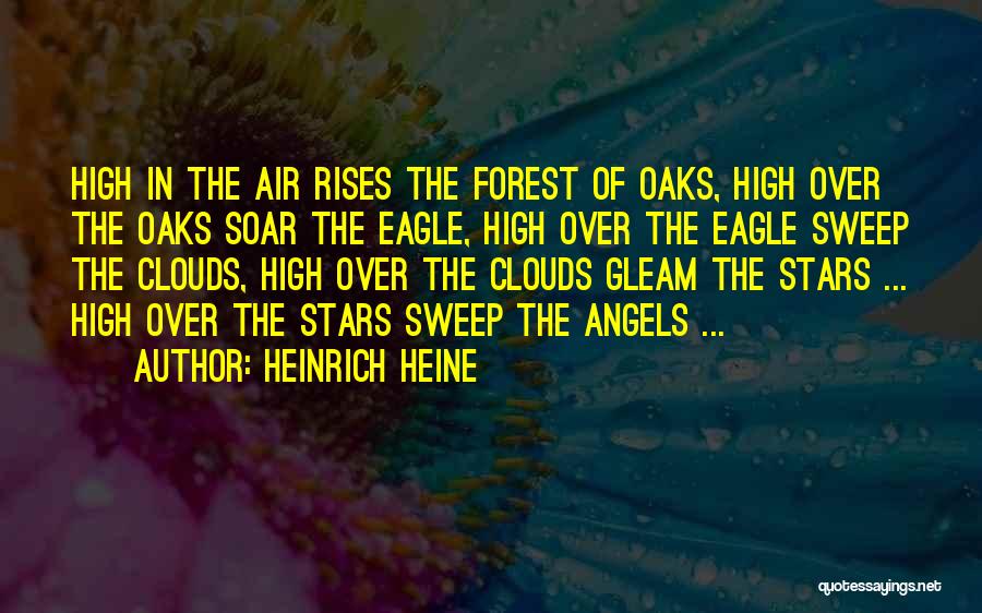 Soar High Quotes By Heinrich Heine