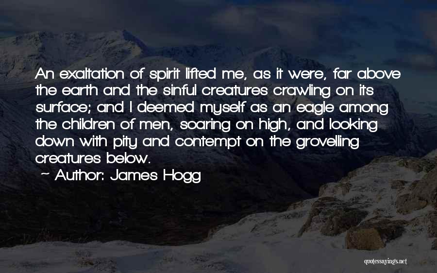 Soaring High Quotes By James Hogg