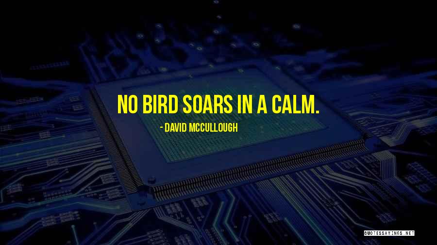 Soars Quotes By David McCullough Soars Quotes By David McCullough