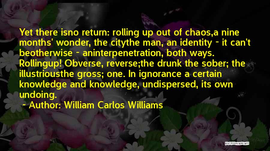 Sober Up Quotes By William Carlos Williams