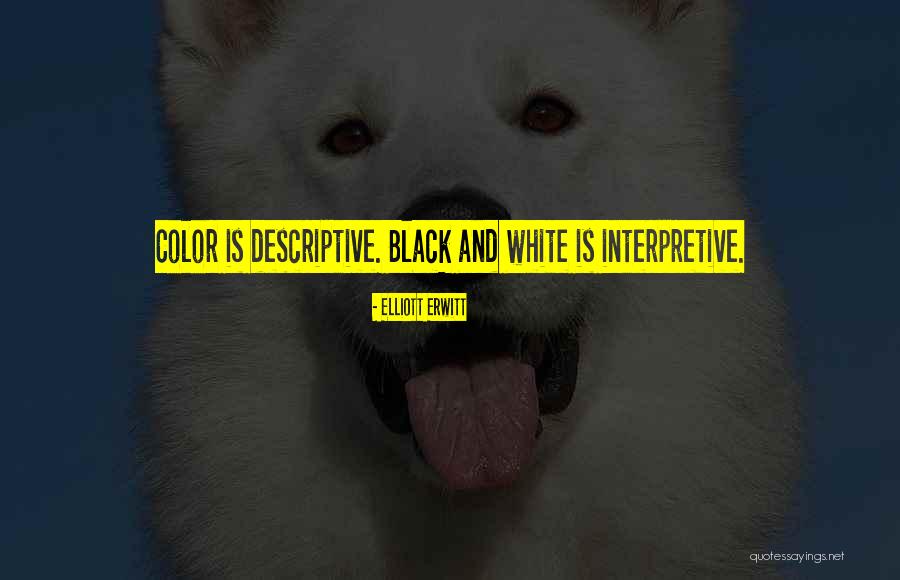 Soberbio In English Quotes By Elliott Erwitt Soberbio In English Quotes By Elliott Erwitt