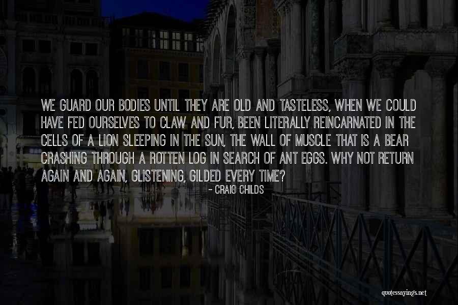 Sobrellevar Sinonimos Quotes By Craig Childs Sobrellevar Sinonimos Quotes By Craig Childs