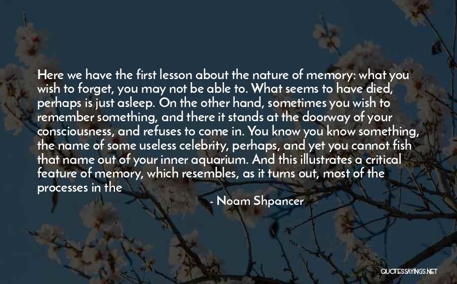 Sobremesas Com Quotes By Noam Shpancer Sobremesas Com Quotes By Noam Shpancer