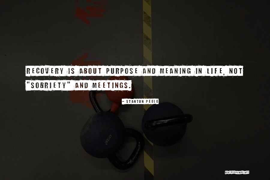 Sobriety And Life Quotes By Stanton Peele Sobriety And Life Quotes By Stanton Peele