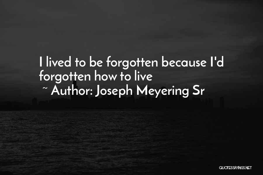 Sobriety Recovery Quotes By Joseph Meyering Sr