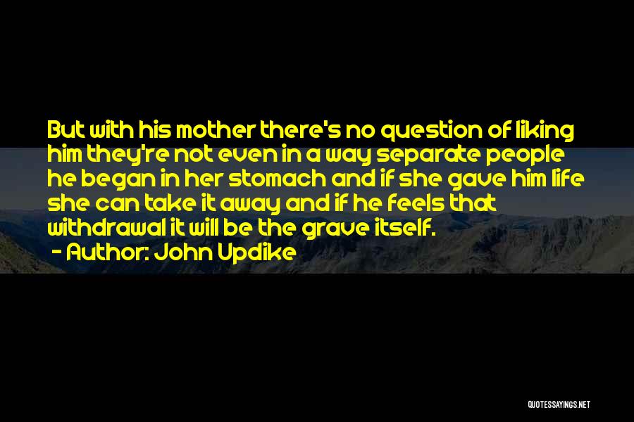 Soccer Families Quotes By John Updike