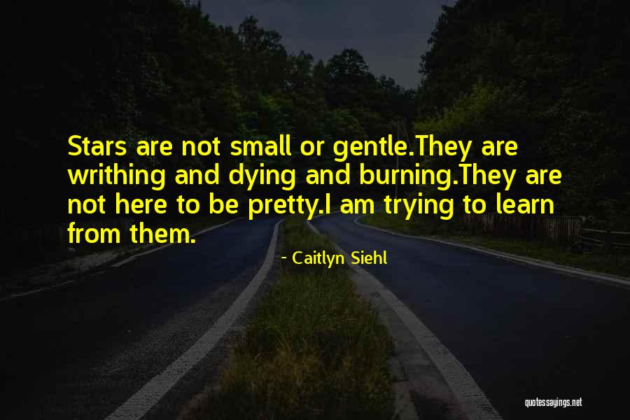 Socharstv V Recku Quotes By Caitlyn Siehl Socharstv V Recku Quotes By Caitlyn Siehl