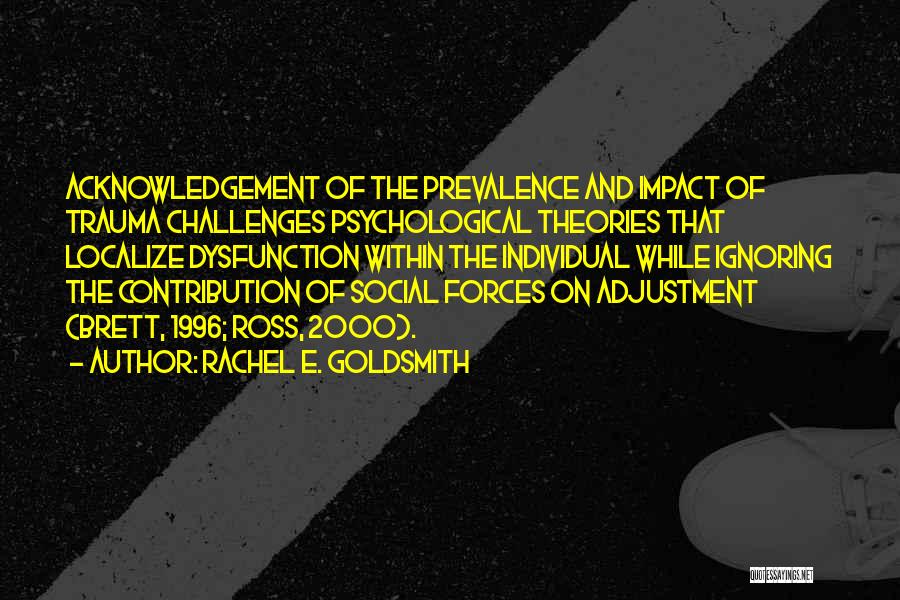 Social Adjustment Quotes By Rachel E. Goldsmith