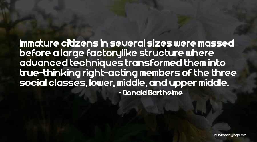 Social Classes Quotes By Donald Barthelme Social Classes Quotes By Donald Barthelme