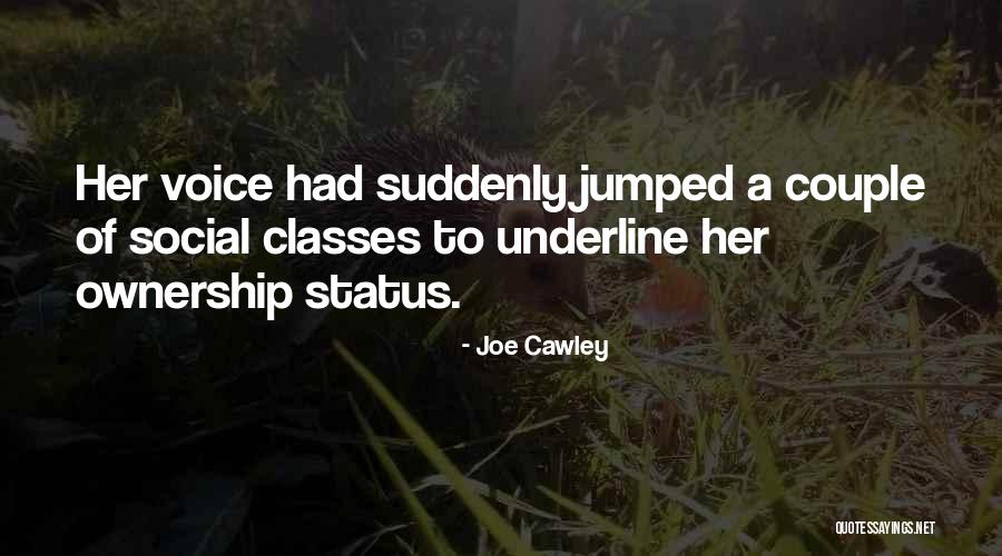Social Classes Quotes By Joe Cawley Social Classes Quotes By Joe Cawley