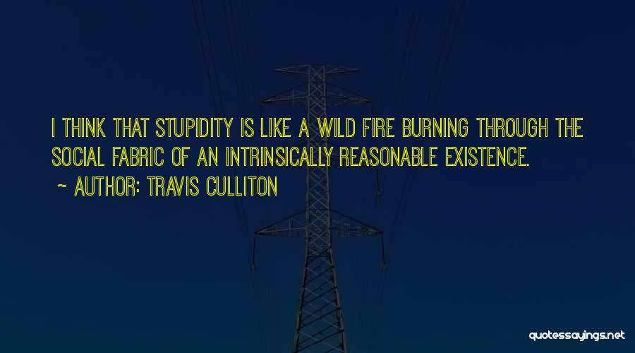 Social Conservatism Quotes By Travis Culliton