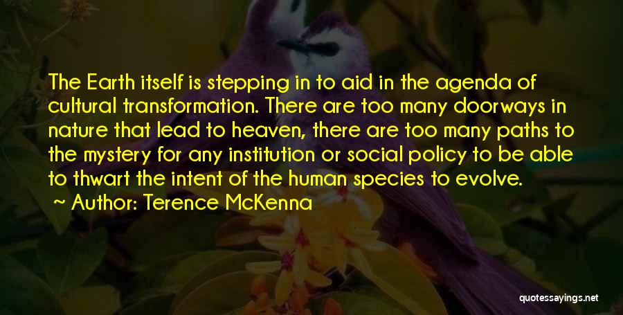 Social Cultural Quotes By Terence McKenna