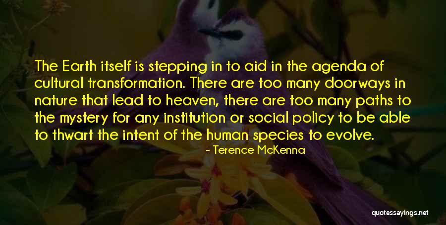 Social Cultural Quotes By Terence McKenna