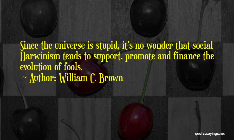 Social Darwinism Quotes By William C. Brown