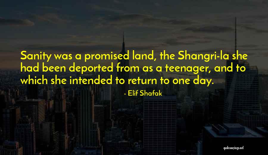 Social Determinants Of Health Quotes By Elif Shafak Social Determinants Of Health Quotes By Elif Shafak