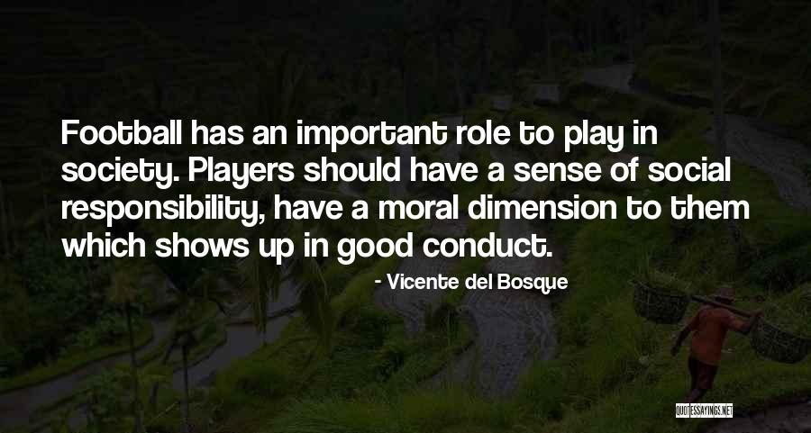 Social Dimension Quotes By Vicente Del Bosque