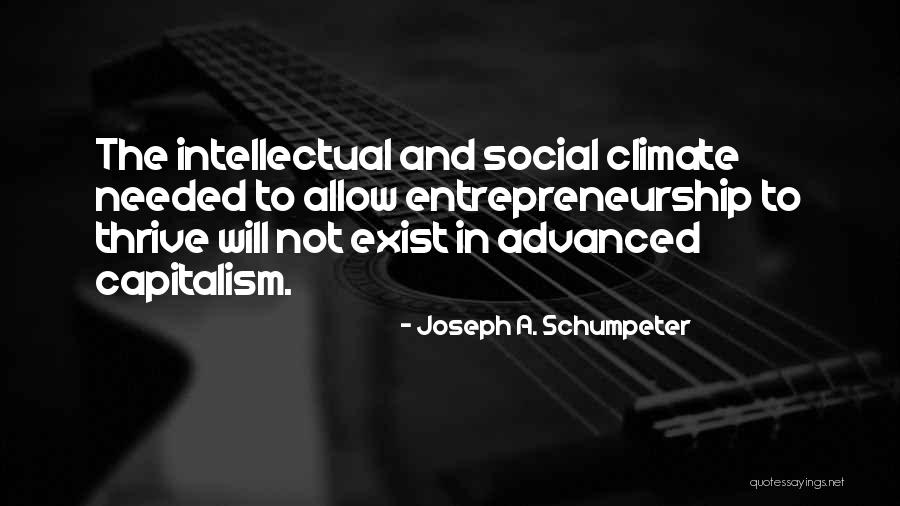 Social Entrepreneurship Quotes By Joseph A. Schumpeter