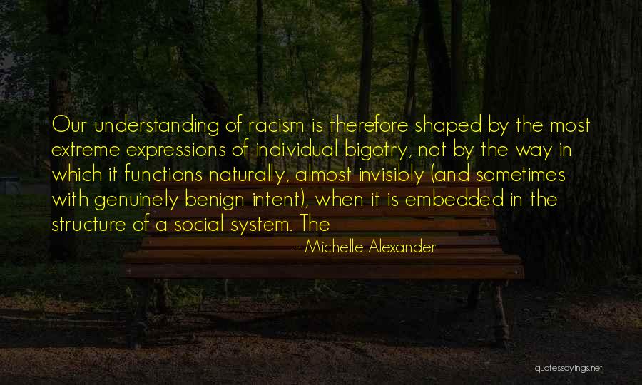 Social Functions Quotes By Michelle Alexander Social Functions Quotes By Michelle Alexander