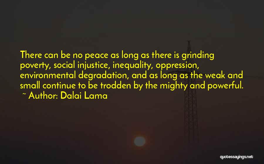 Social Inequality Quotes By Dalai Lama