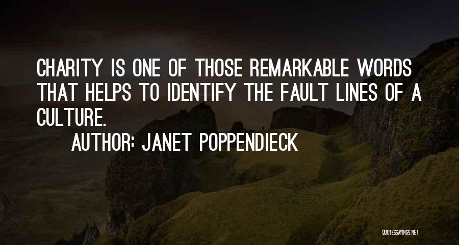 Social Inequality Quotes By Janet Poppendieck